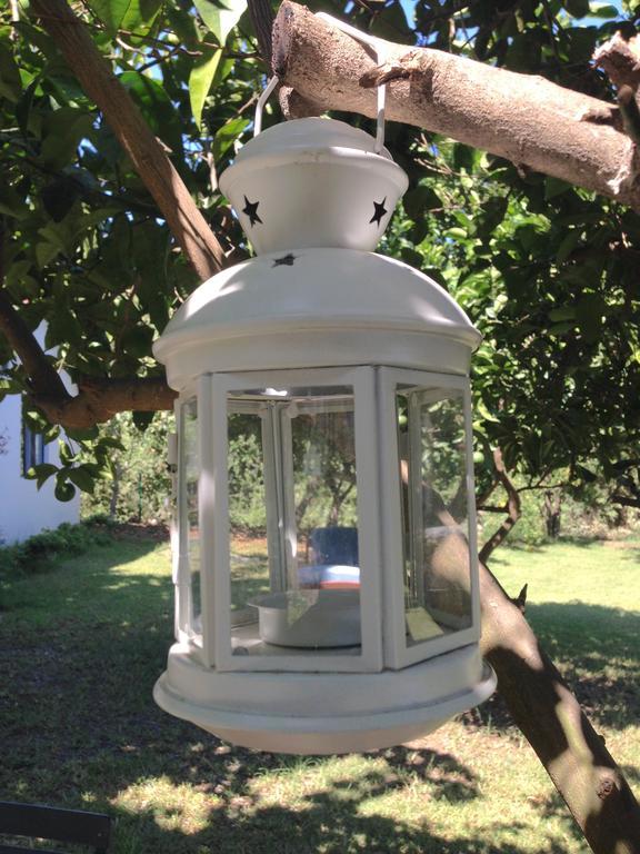 Cirali Friends Pension&Camping Dış mekan fotoğraf