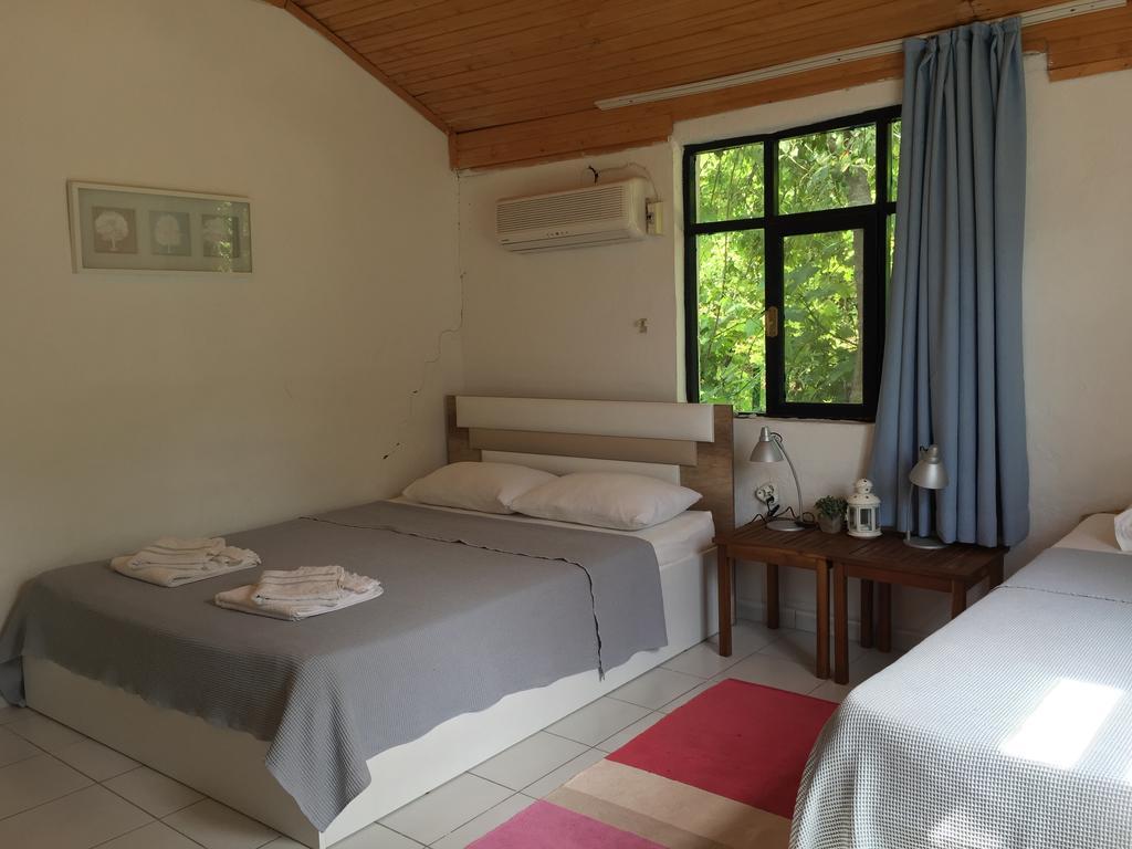 Cirali Friends Pension&Camping Dış mekan fotoğraf