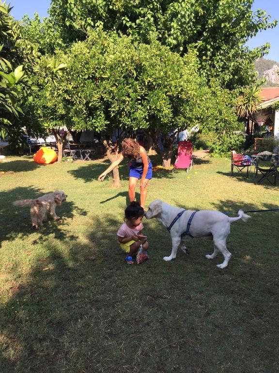 Cirali Friends Pension&Camping Dış mekan fotoğraf