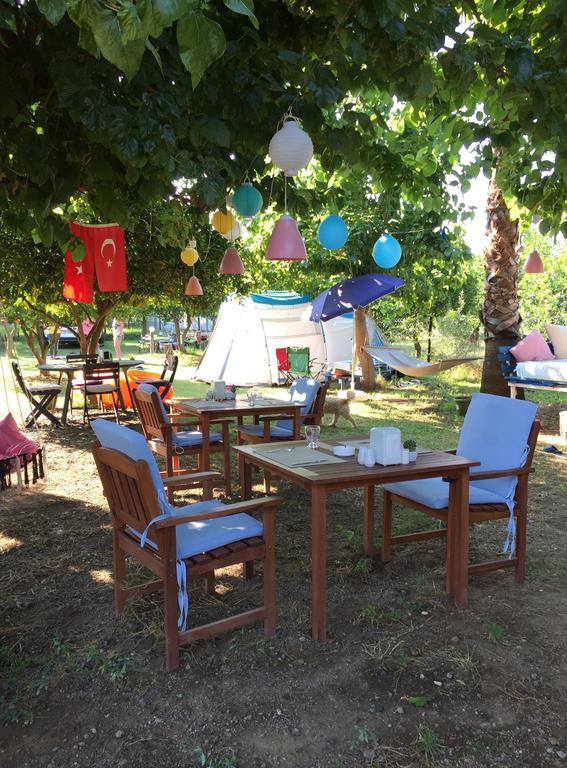 Cirali Friends Pension&Camping Dış mekan fotoğraf