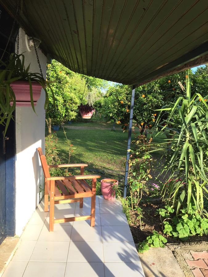 Cirali Friends Pension&Camping Dış mekan fotoğraf
